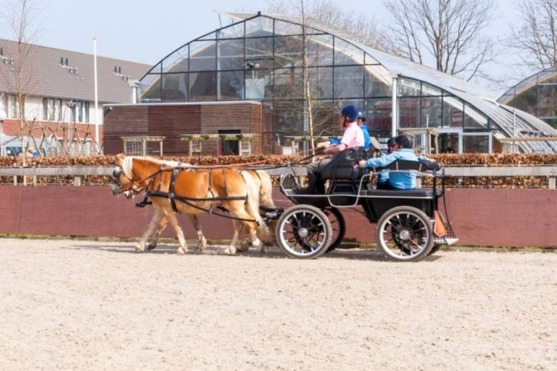 Manege Craeyenburch