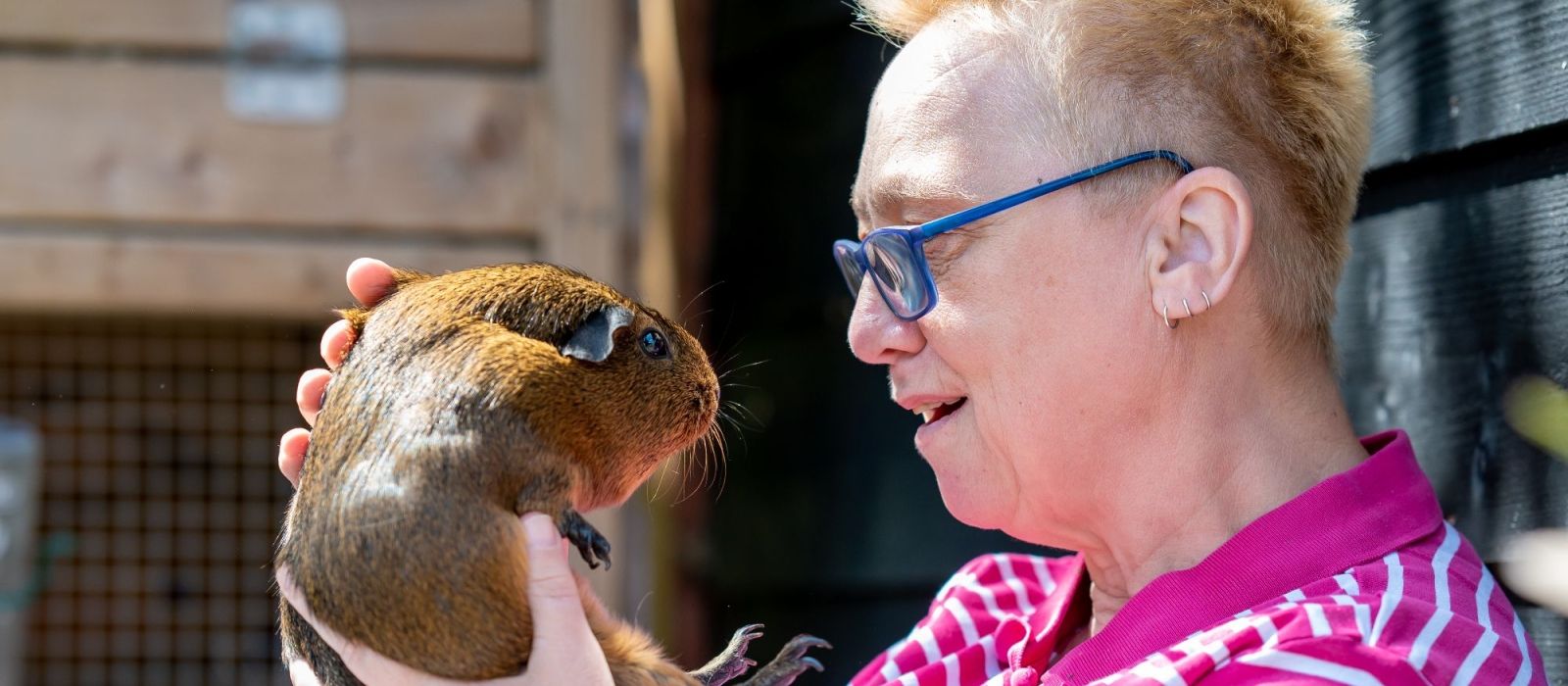 Medewerker van dierenpark De Driespan in Schiedam met een Cavia