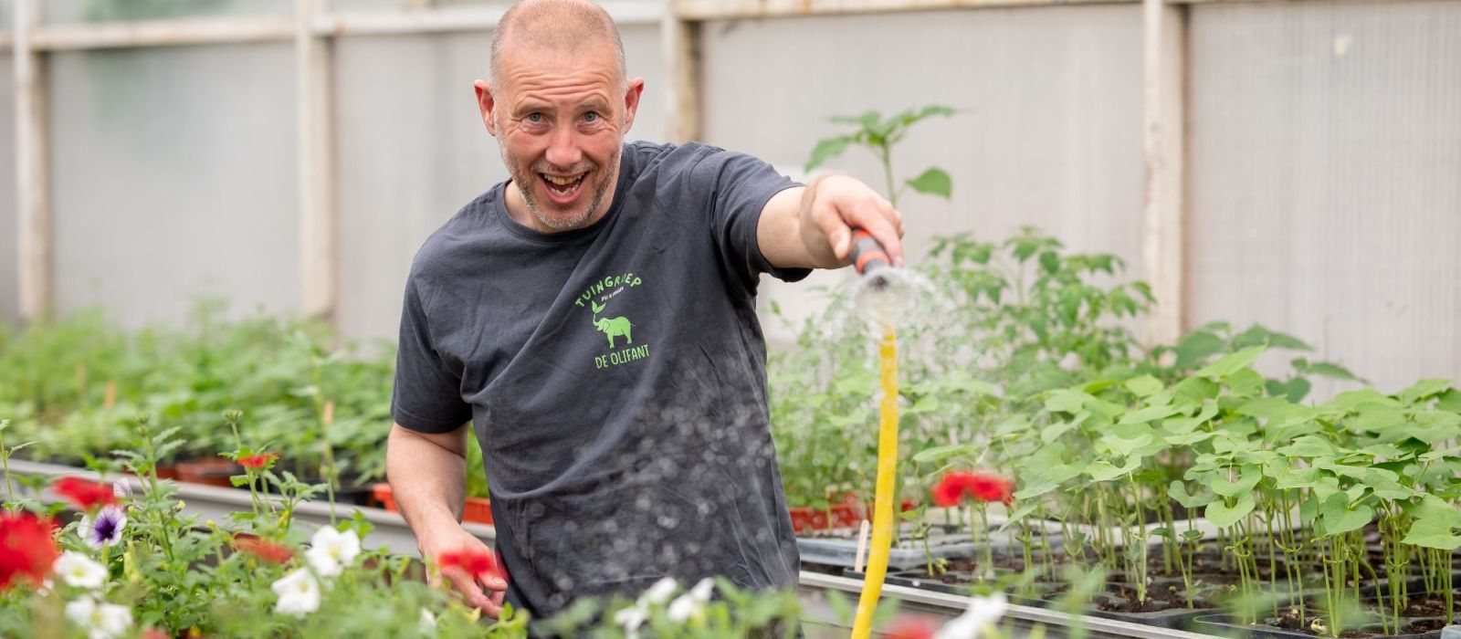 Plantjes water geven bij Tuincentrum De Olifant in  Nieuwveen