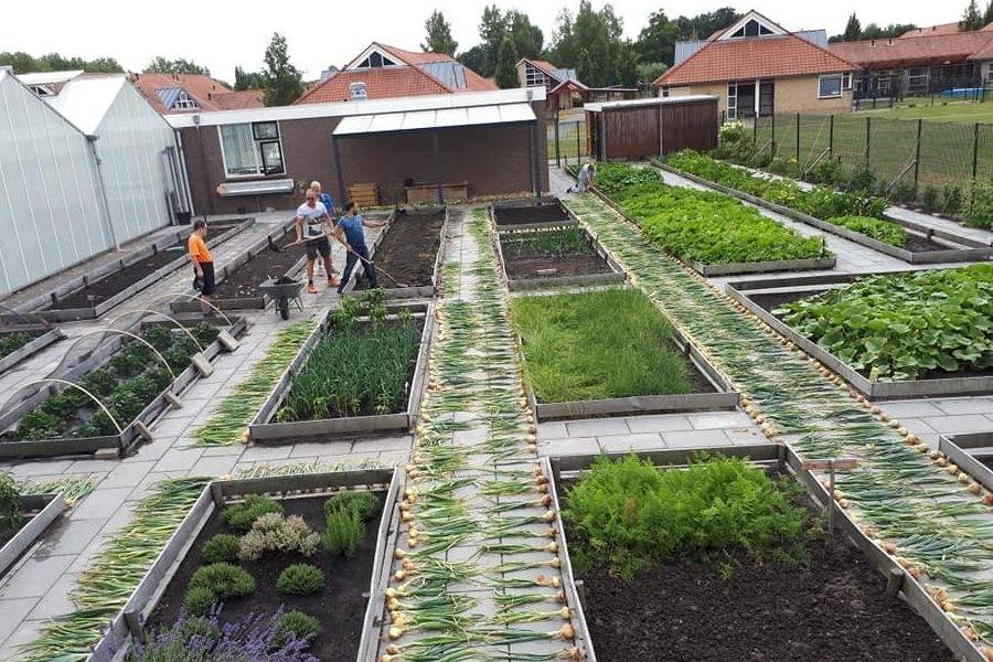 De tuin van dagbesteding De Kas in Zwammerdam