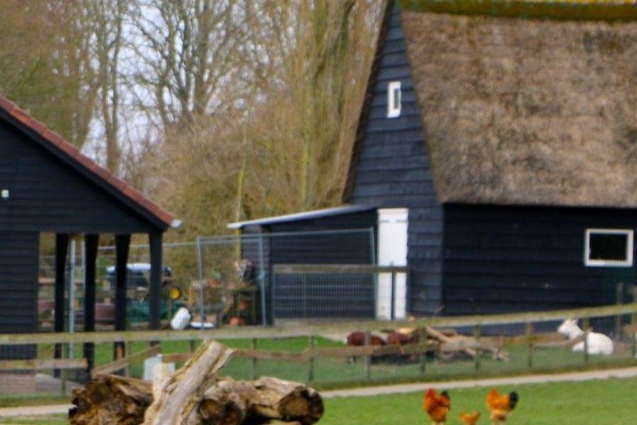 Kinderboerderij DVO ' t Hof in Zwammerdam