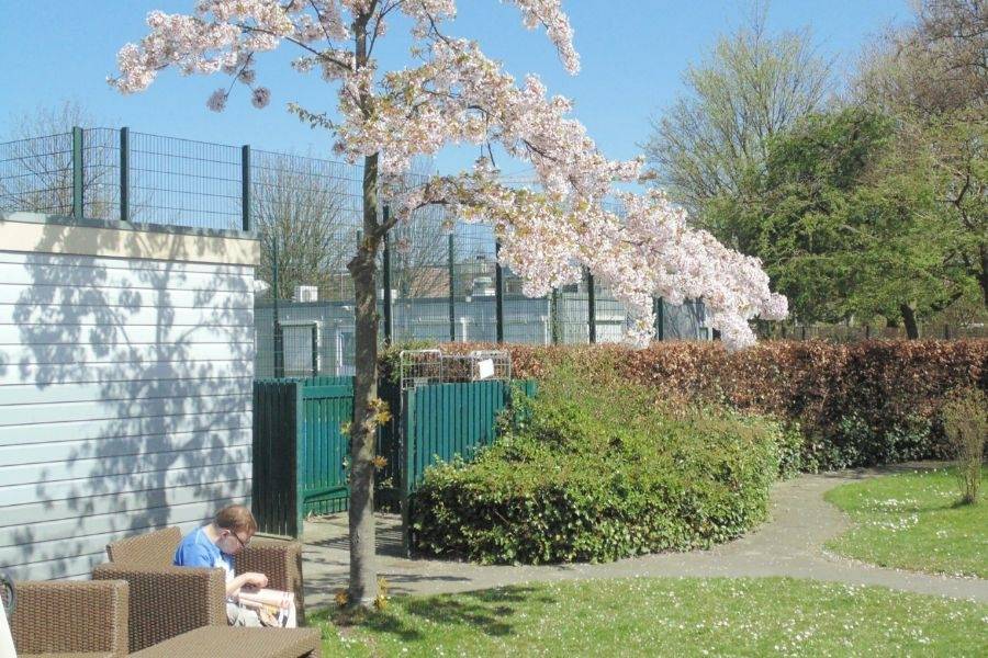 Tuin bij dagcentrum Scala in Vlaardingen