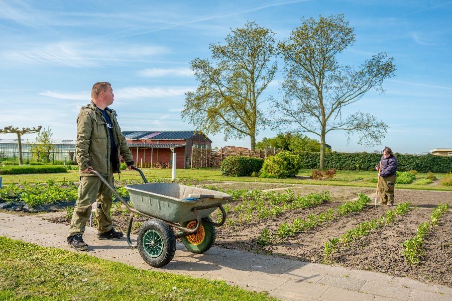 Tuinieren bij dagcentrum Woutershof in Monster