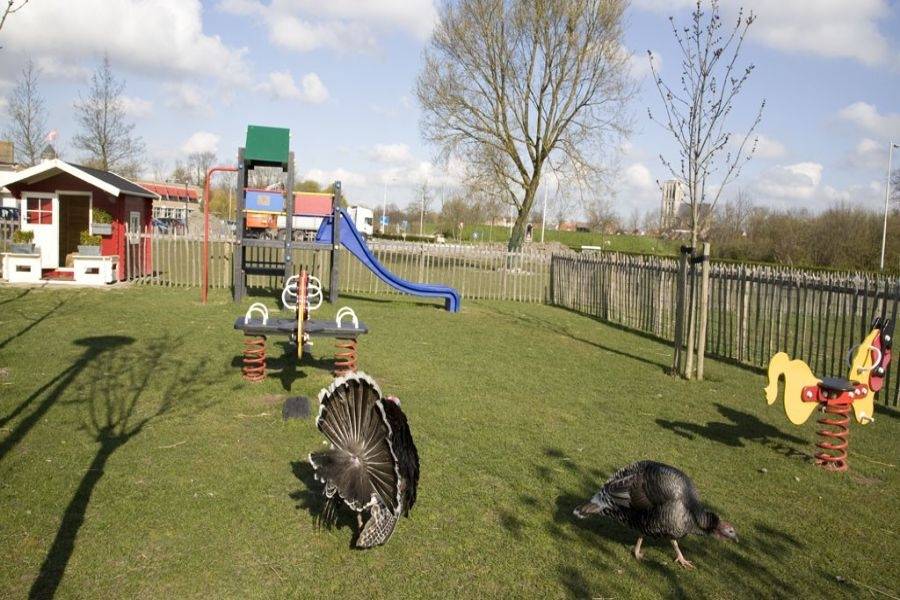 Speeltuin bij dagbestedingslocatie De Dierenweide