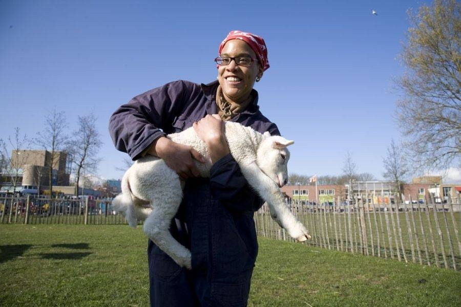 Dieren verzorgen bij dagbestedingslocatie De Dierenweide