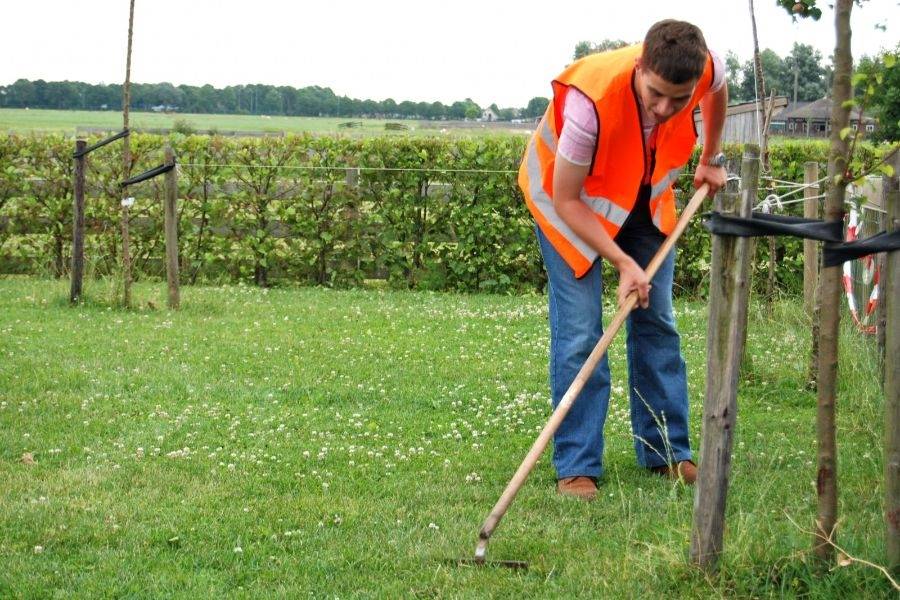 Gras harken bij dagbesteding Plantsoengroep Noorden