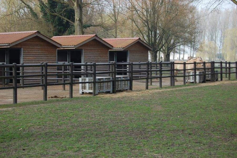 Stallen van kinderboerderij De Schaapskooi in Nieuwveen