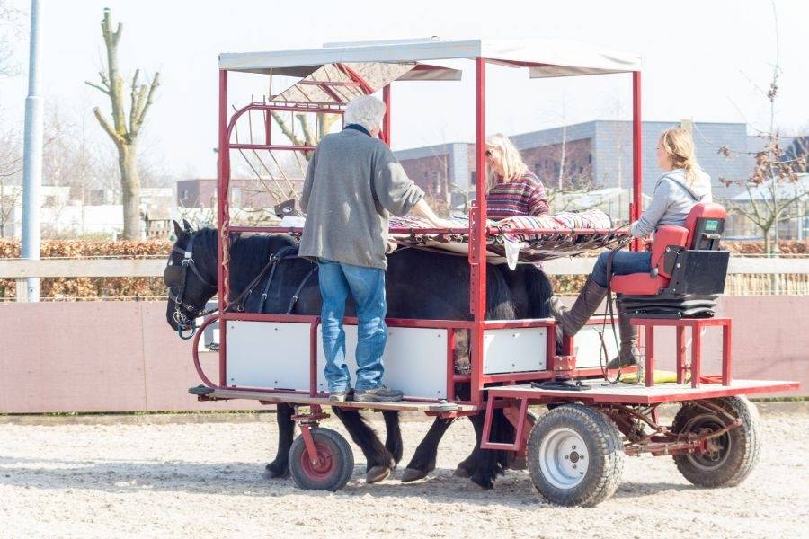 Paardrijden bij Manage Craeyenburch