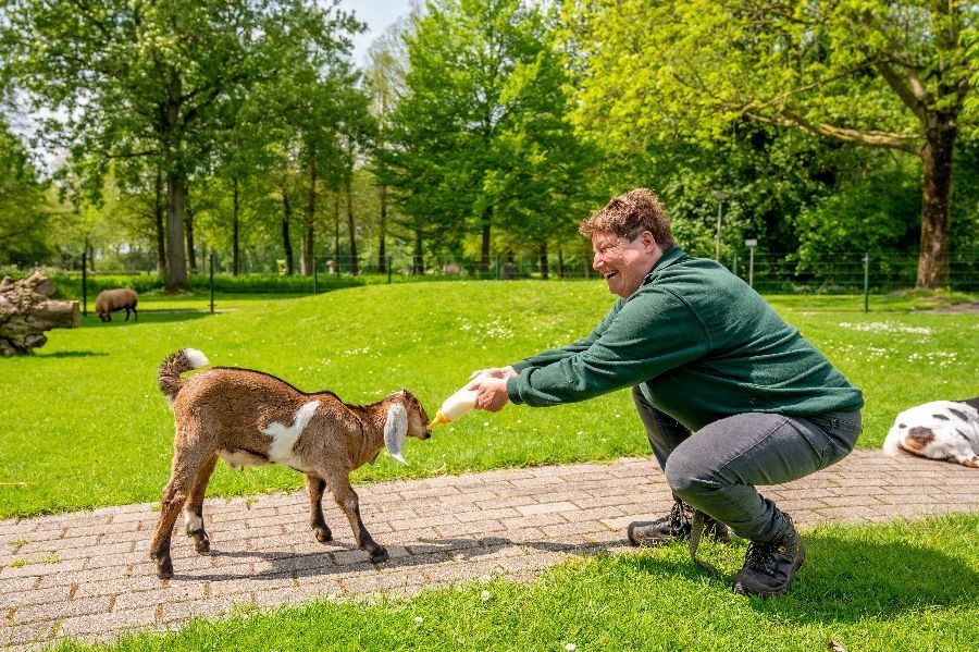 Dieren voeren bij manege De Tijd in Nieuwveen