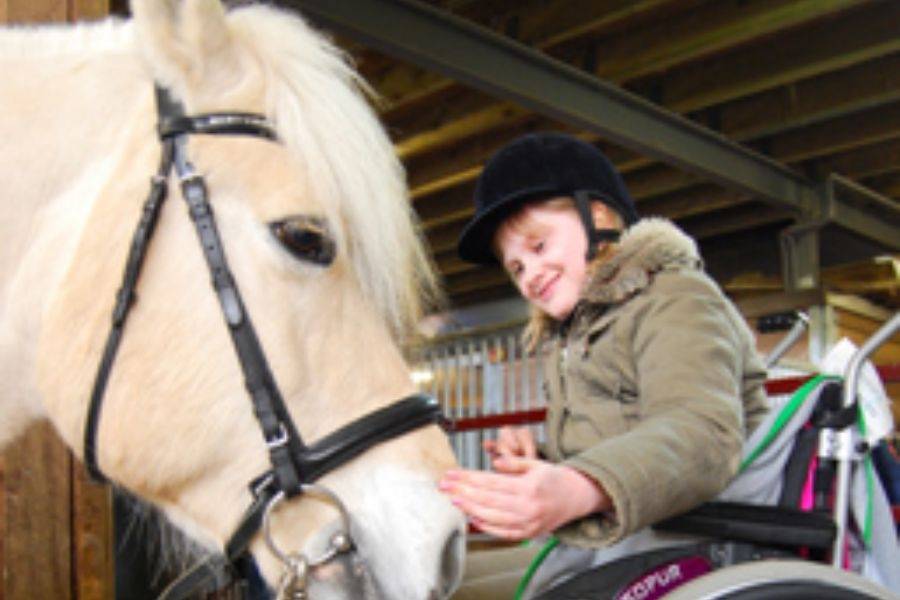Meisje met rolstoel bij paard van manege Craeyenburch