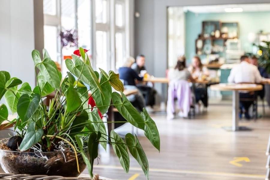 Sfeerfoto van lunchcafé de Zoetelaar binnen