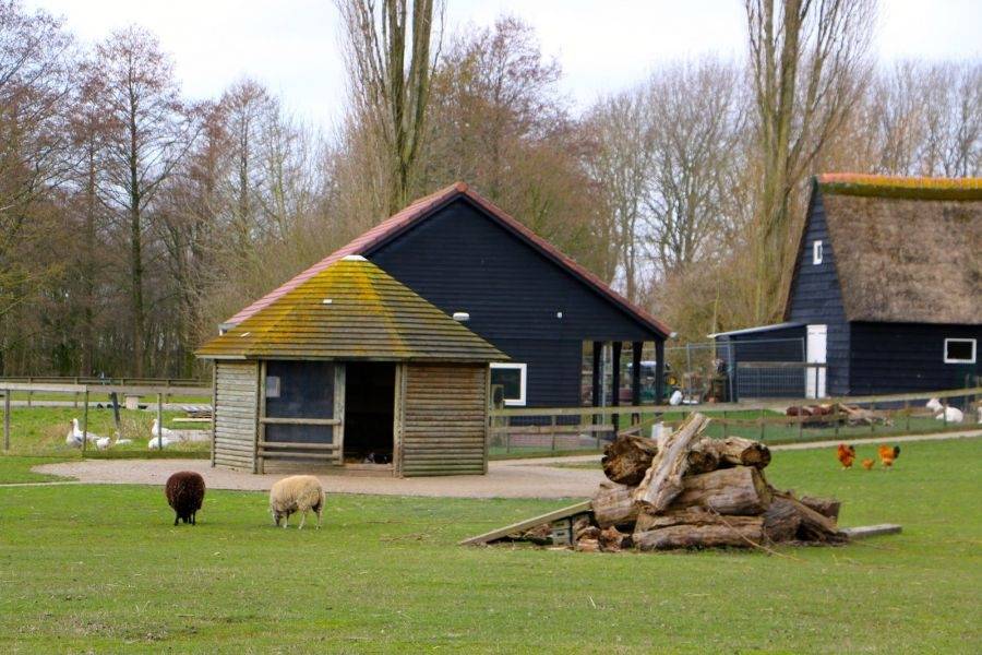 Kinderboerderij op landgoed Hooge Burch in Zwammerdam