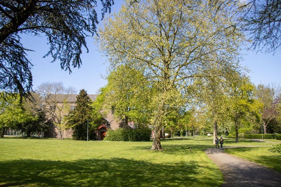 Groene omgeving