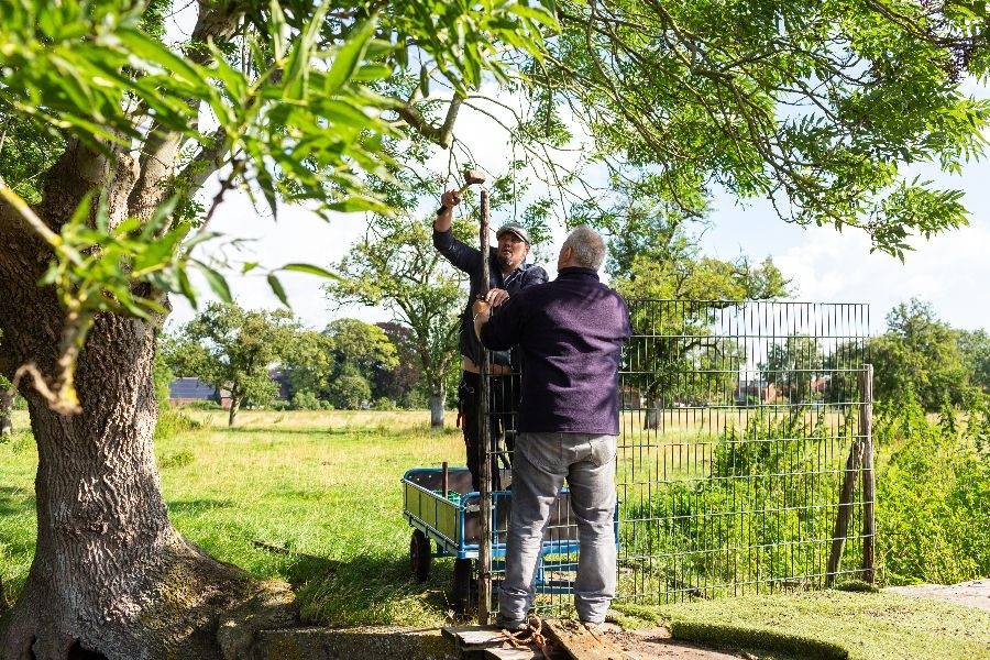 Woonlocatie Rijksstraatweg - werkzaamheden in het groen