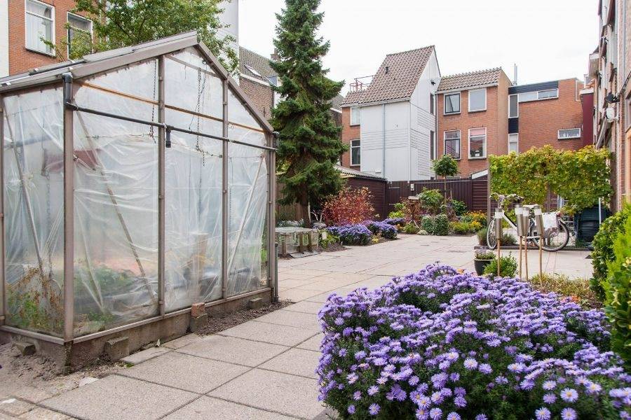 Tuin woonlocatie Gasthuislaan 5 in Delft